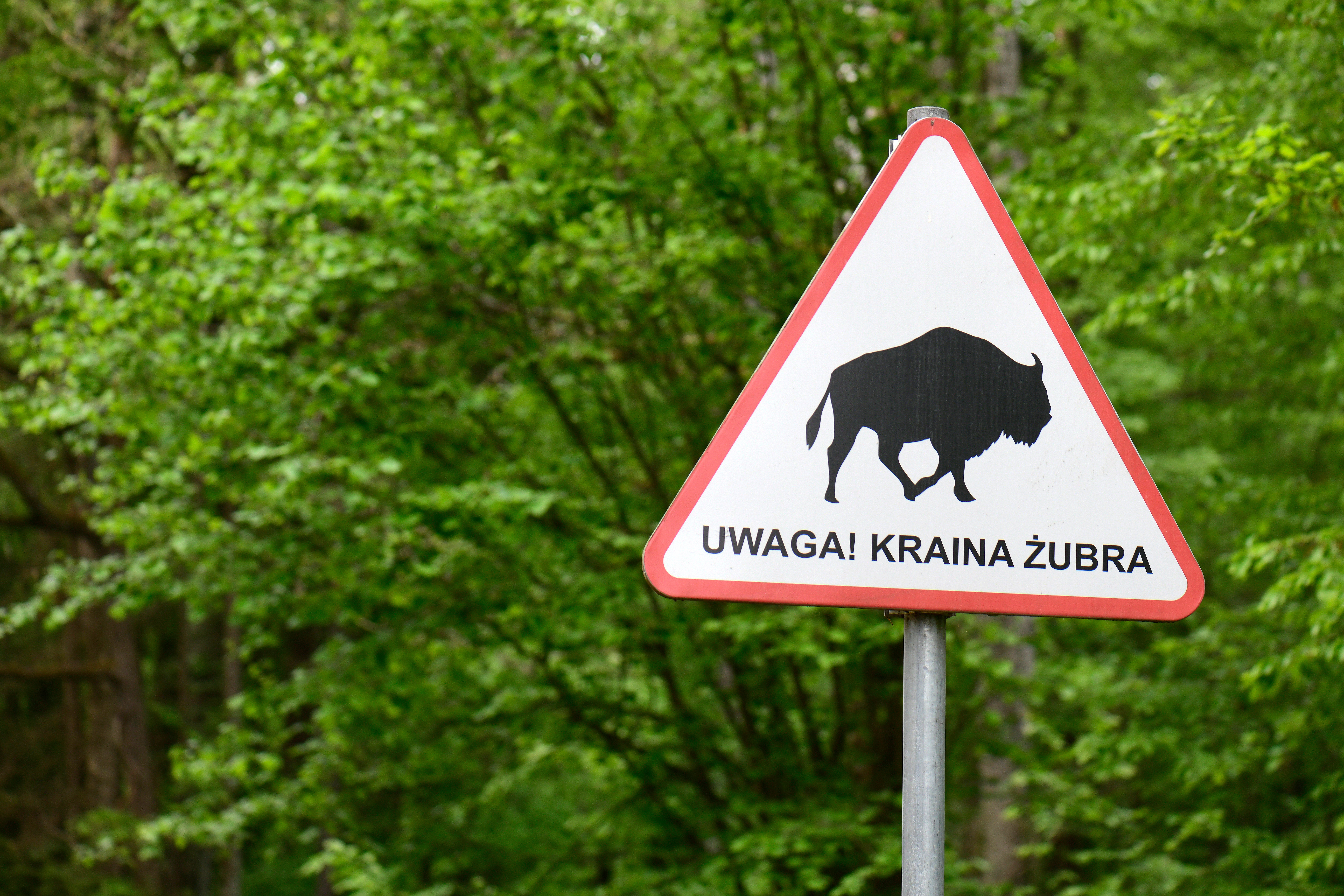 5 rzeczy w Podlaskiem, które Cię zaskoczą