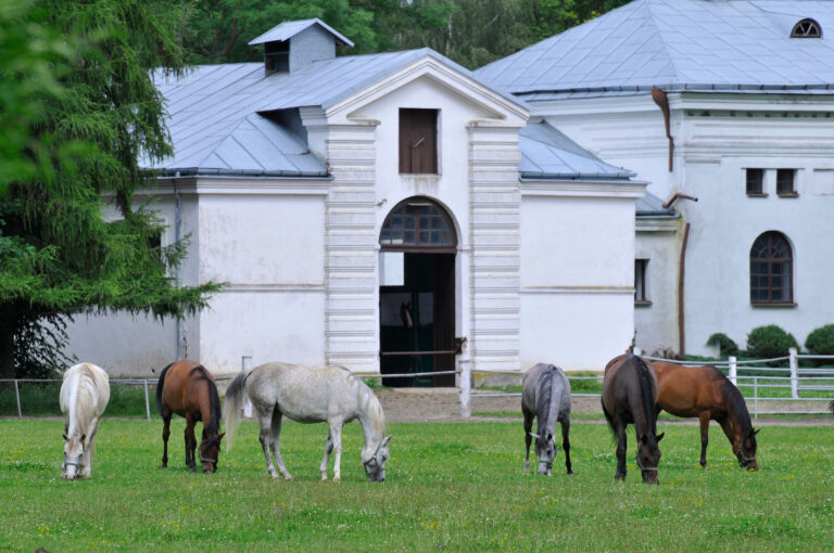 Stadnina koni w Janowie Podlaskim