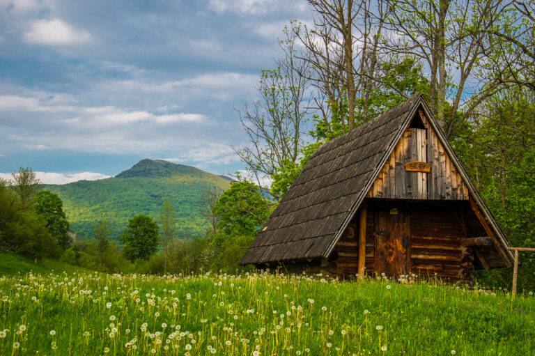 Widok ze szlaków w Wetlinie