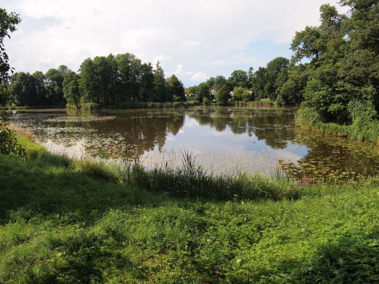 Park pałacowy w Białowieży