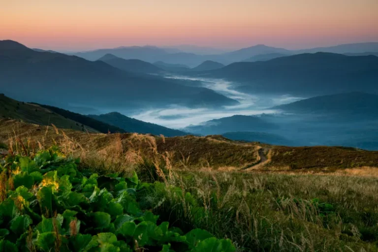 Bieszczady_Adrian_Weimer_z_Caryńskiej_o_wschodzie_5369